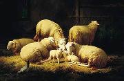 unknow artist Sheep 062 oil painting picture wholesale